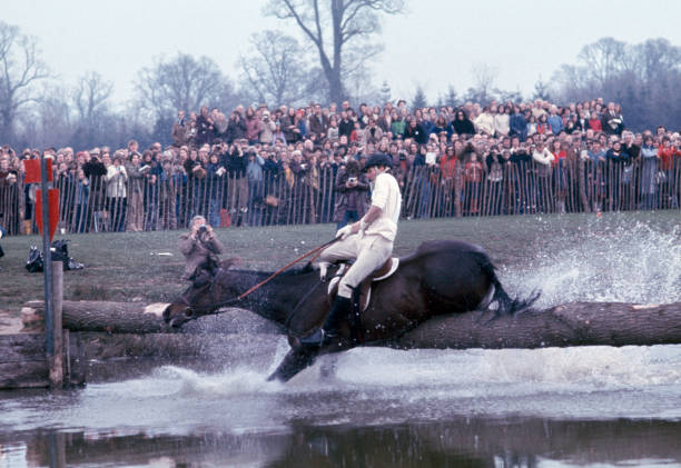 羽毛球場長寬標(biāo)準(zhǔn)圖解：單打與雙打場地區(qū)域劃分