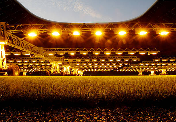 點球決勝時刻：非洲杯冠軍揭曉！