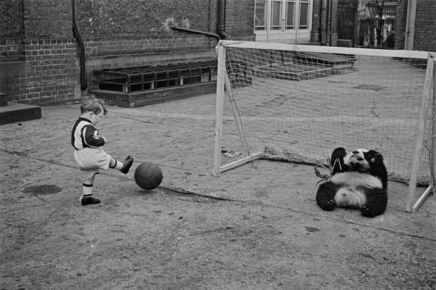 鹿晗談C羅：他是我堅持夢想的動力源泉