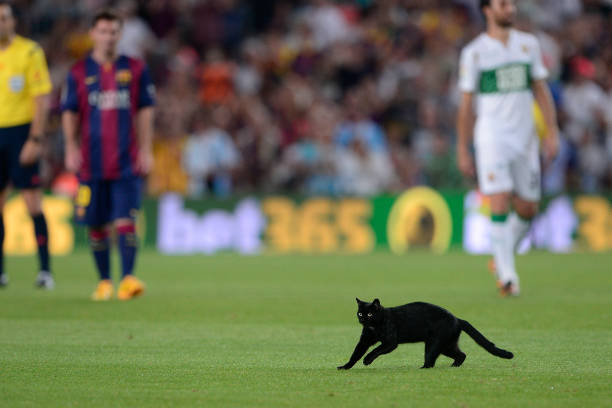 高效看球攻略：用球探比分電腦版定制專屬賽事提醒