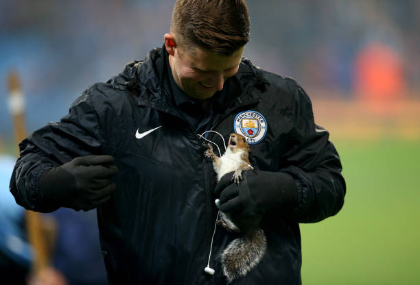 實(shí)時(shí)直播：葡萄牙隊(duì)進(jìn)球視頻免費(fèi)放送