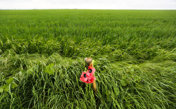 皇馬越位風(fēng)暴：足球規(guī)則是否需要進(jìn)一步優(yōu)化？