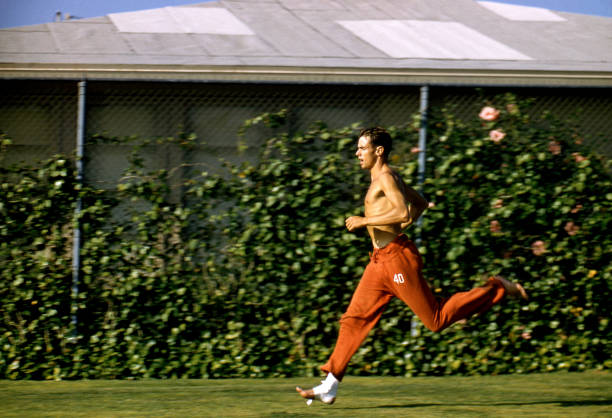 同名不同命：葉一茜與楊明娜的人生軌跡對比