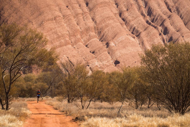 全紅嬋的抉擇：為何在巔峰時(shí)期選擇退出？