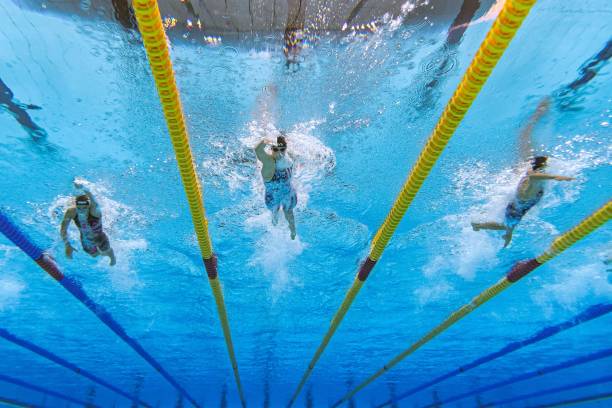 描寫游泳選手水中身姿的優(yōu)美語句