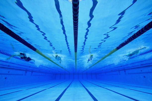 適用于專業(yè)評(píng)論，提供權(quán)威視角和深度洞察