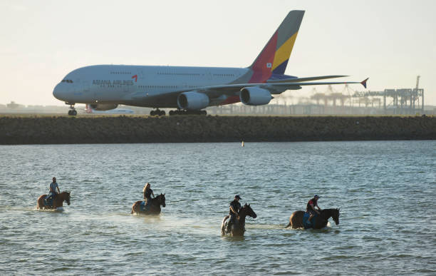開放水域游泳的危險與應(yīng)對策略