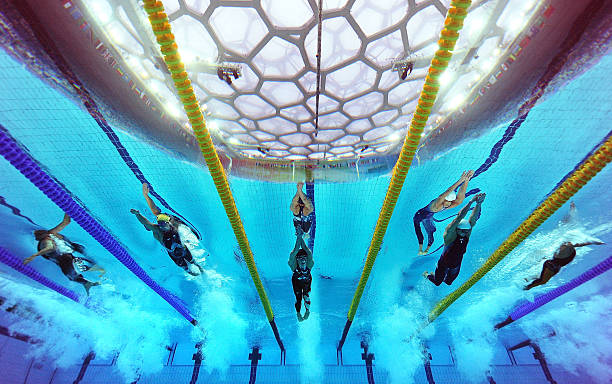 全國游泳賽事最新動態(tài)：賽程更新與參賽報名信息