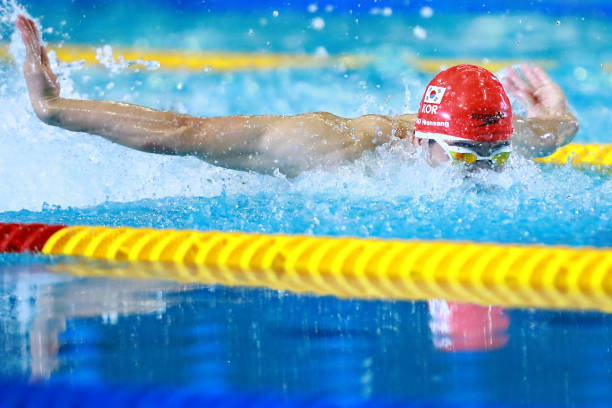 游泳等級認證2024：考核流程、評分標準與常見問題解答