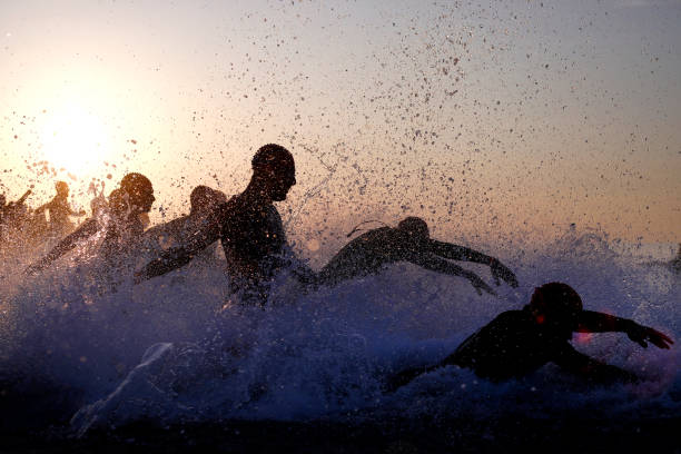 游泳初學者必看：蛙泳、自由泳、蝶泳、仰泳的學習順序建議