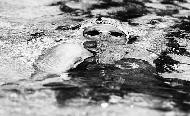 少年游泳運(yùn)動員每日水分補(bǔ)充的重要性與建議量