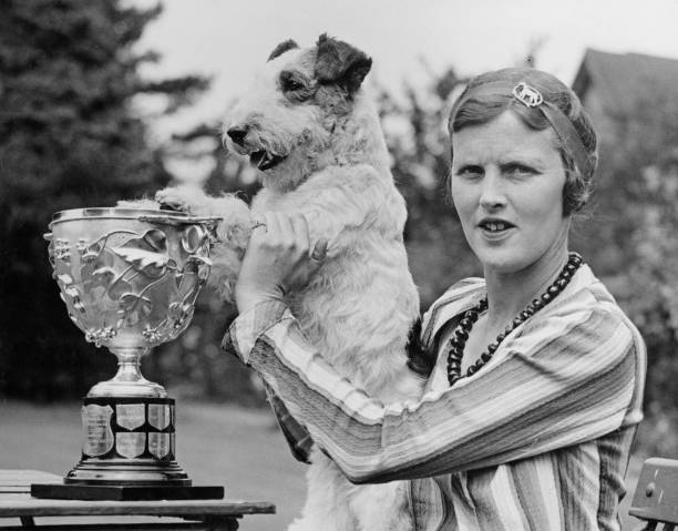 從盤數(shù)規(guī)則看澳網(wǎng)男子比賽的獨特魅力